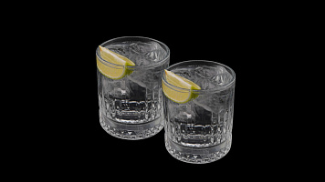 Джин тоник 1+1